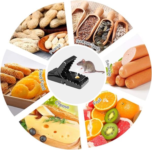 Heavy Duty Plastic Mouse Trap | Reusable Mouse Catcher | Best Quality Mouse Trap – Trap For Mouse