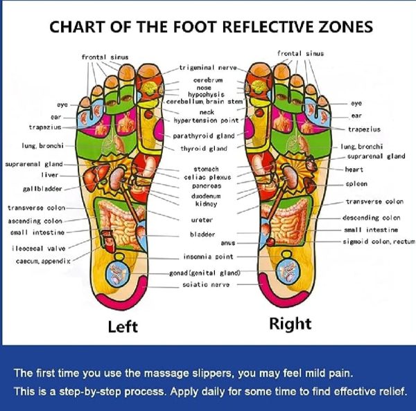 Acupressure Massage Slippers For Sugar Patients – Foot Therapy Reflexology Sandals With Acupuncture Points & Non-slip Sole